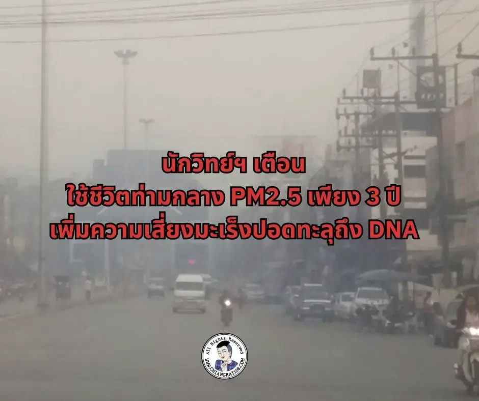 นักวิทย์ฯ เตือน ใช้ชีวิตท่ามกลาง PM2.5