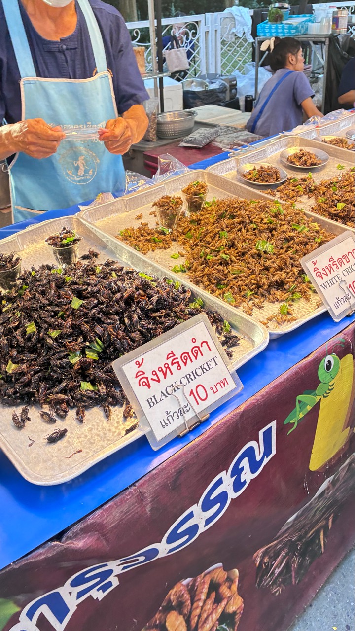 จิ้งหรีดทอดในถาดพร้อมป้ายขายเป็นแก้วที่ถนนคนเดินเชียงราย