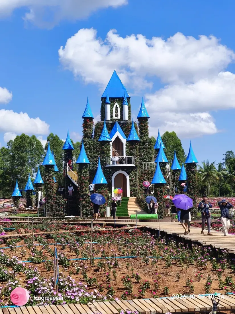 ปราสาทดอกไม้และทางเดินชมสวนที่ Flower Kingdom แม่สาย